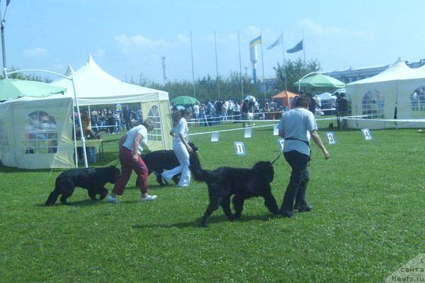 Фотография № 32107