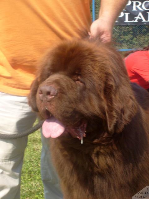 Фотография № 32108