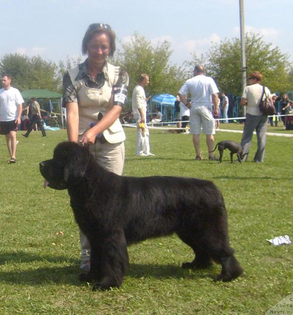 Фотография № 32109