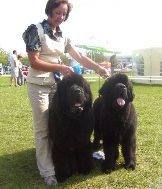 Фотография № 32110