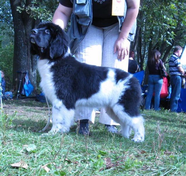 Фотография № 32113