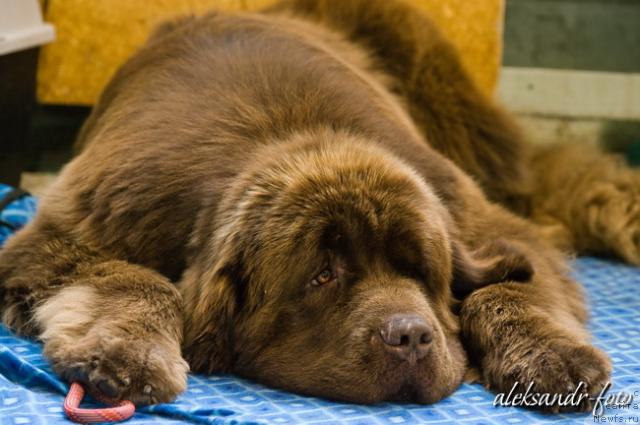 Фотография № 32118