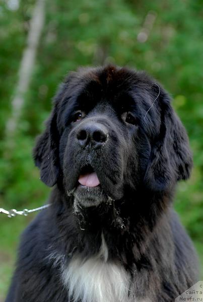 Фотография № 32134