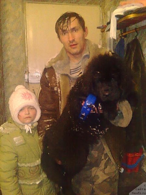 Фото: ньюфаундленд Toptyijka Siyanie ot Aysberga (Топтыжка Сияние от Айсберга), муж Денис, дочка Оля