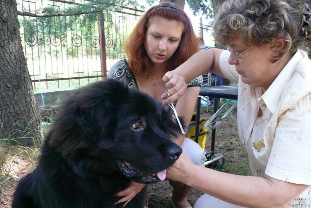 Фотография № 32168