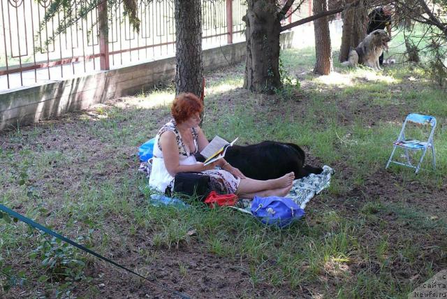 Фотография № 32169