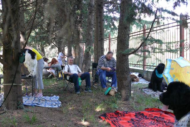 Фотография № 32170