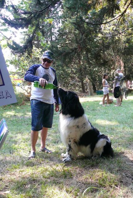 Фотография № 32171