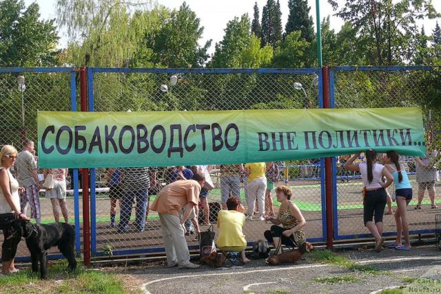 Фотография № 32172