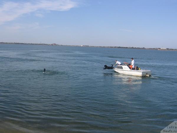 Фотография № 32175