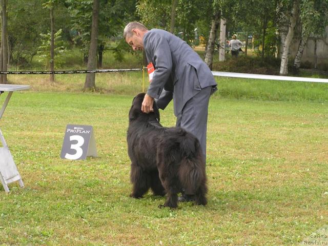 Фотография № 32184