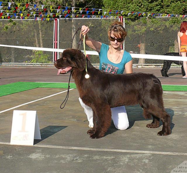 Фотография № 32185