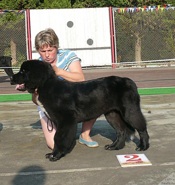 Фотография № 32186