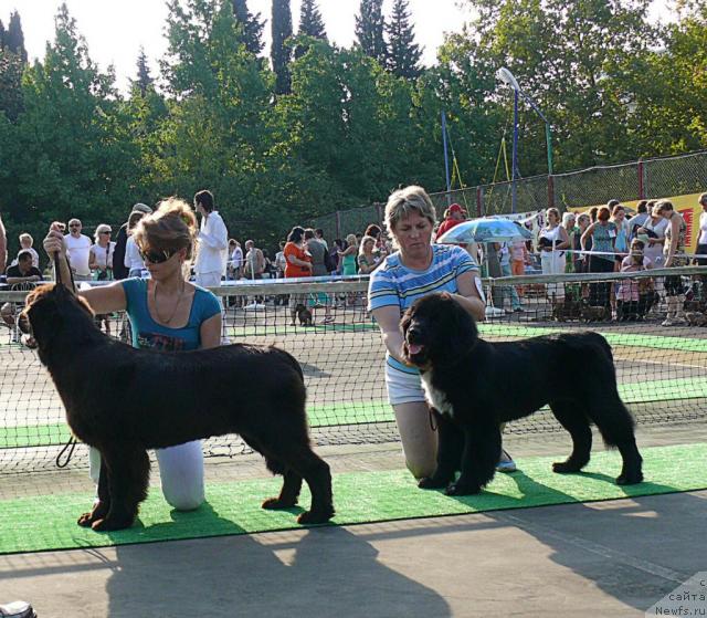 Фотография № 32187