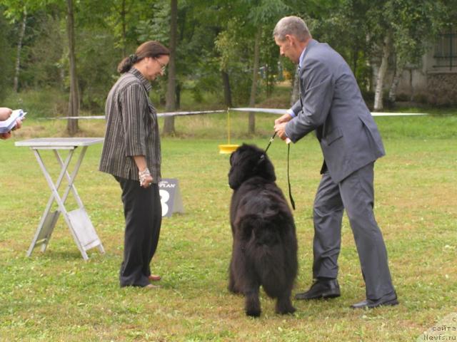 Фотография № 32188