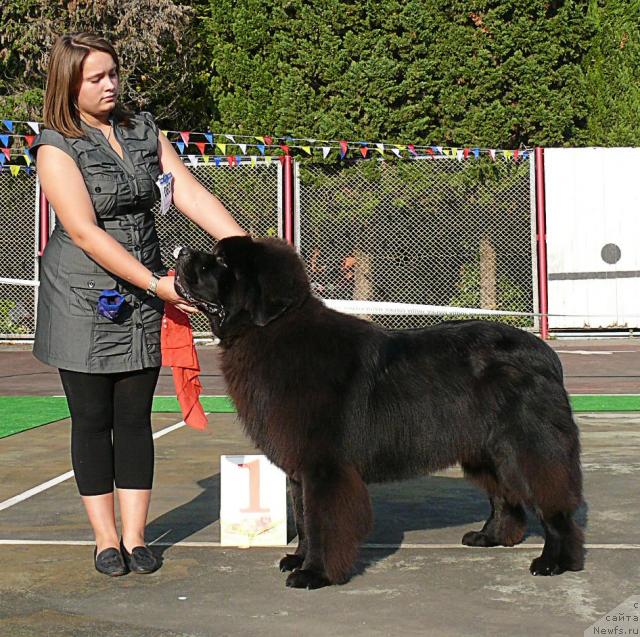 Фотография № 32191