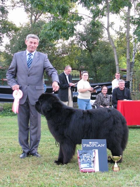 Фотография № 32193