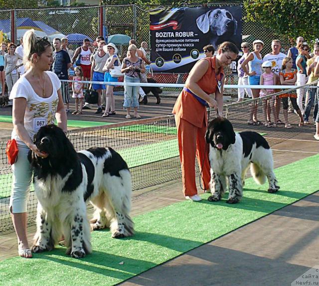 Фотография № 32199