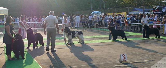 Фотография № 32204