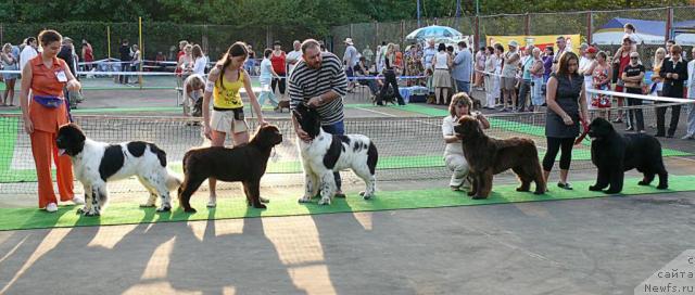 Фотография № 32206