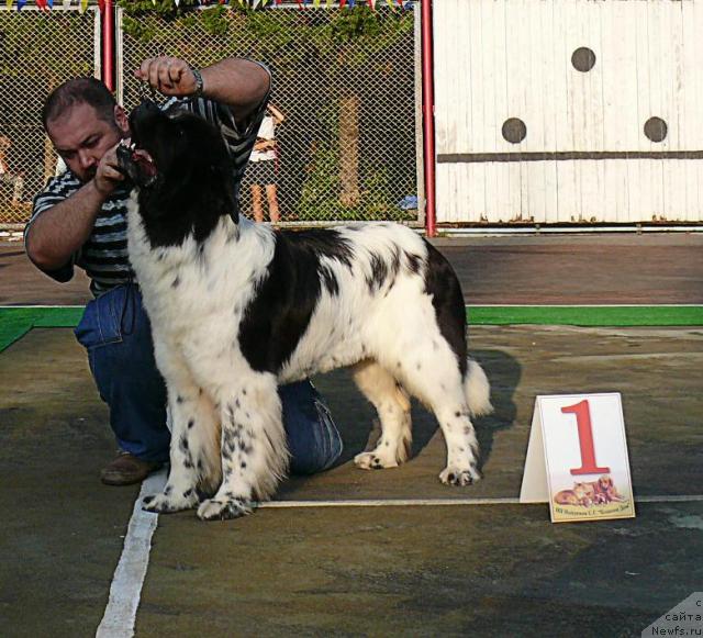 Фотография № 32207