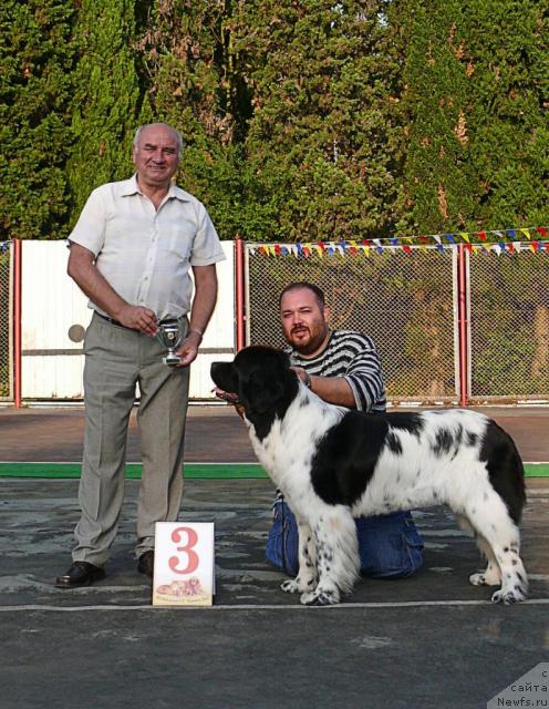 Фотография № 32208