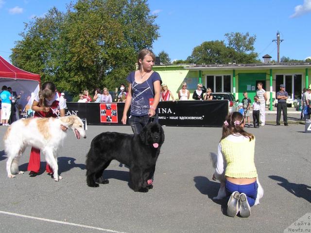 Фотография № 32273