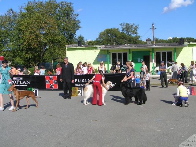 Фотография № 32274