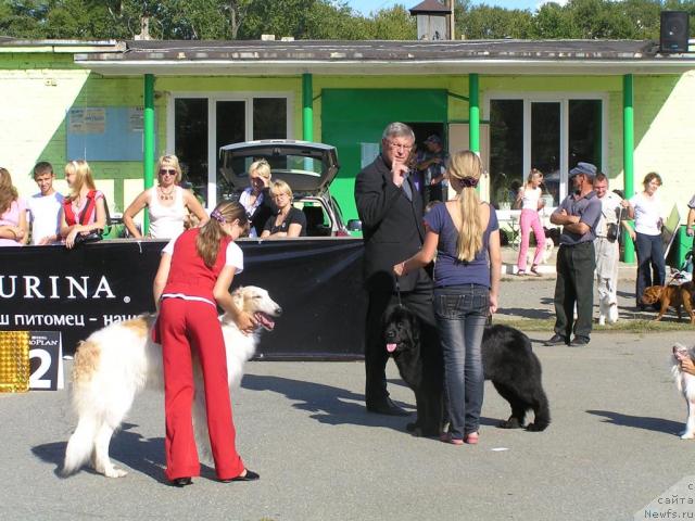 Фотография № 32275