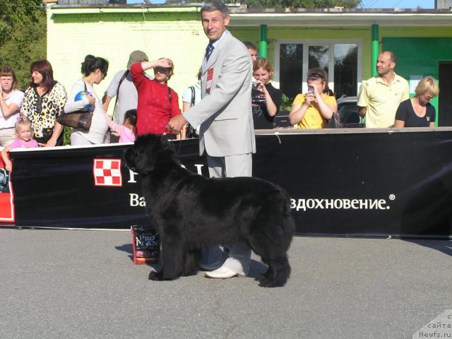 Фотография № 32276