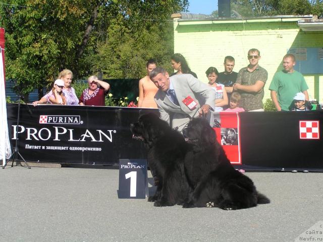 Фотография № 32279