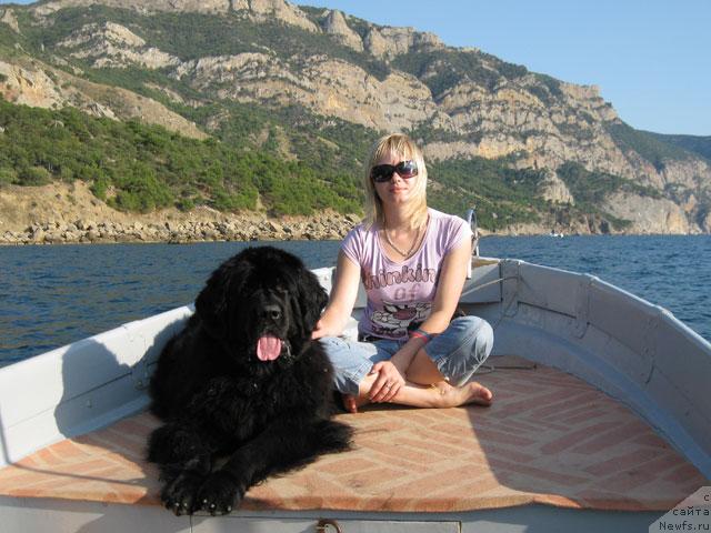 Фото: ньюфаундленд Brenda Kara Deniz (Бренда Кара Дениз), Ol'ga Pankova (Ольга Панкова)