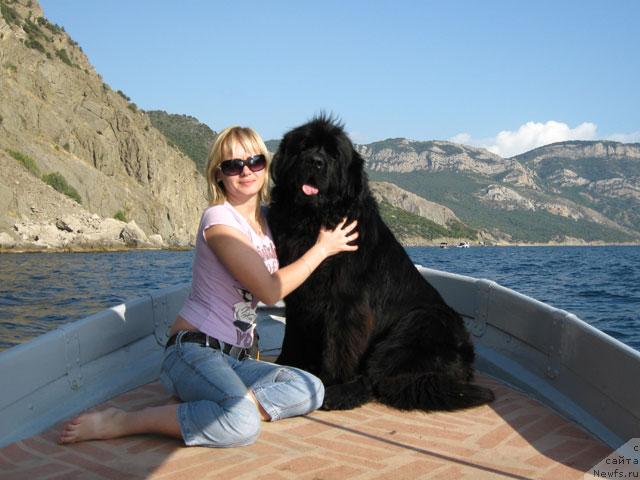 Фото: ньюфаундленд Vlas (Влас), Ol'ga Pankova (Ольга Панкова)