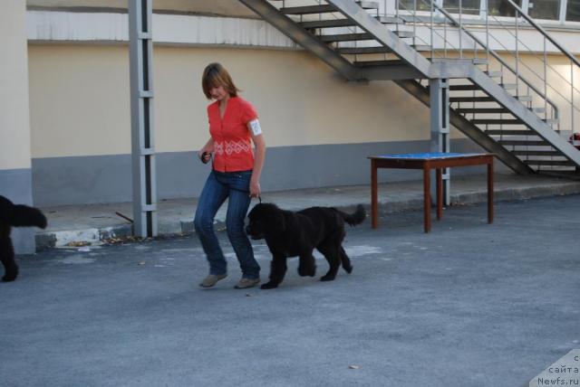 Фотография № 32324