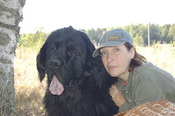 Фото: ньюфаундленд Sent Djons Orfey (Сент Джонс Орфей)