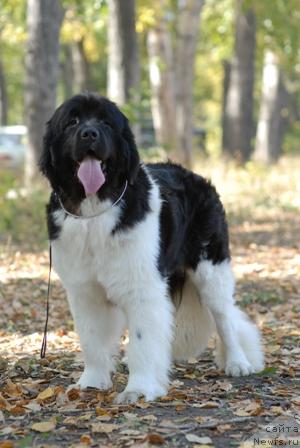 Фотография № 32376