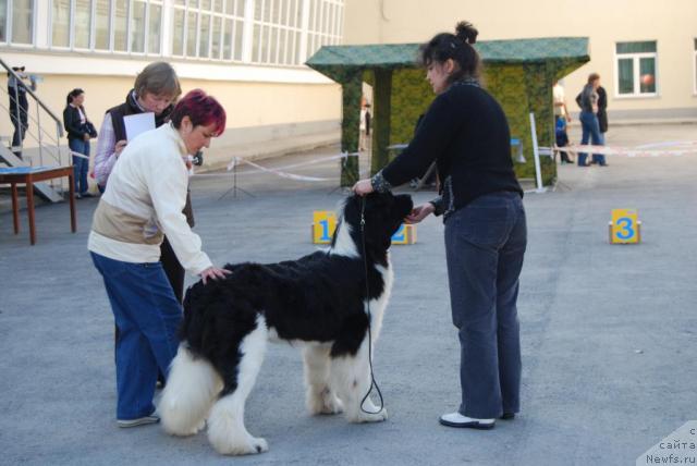 Фотография № 32382