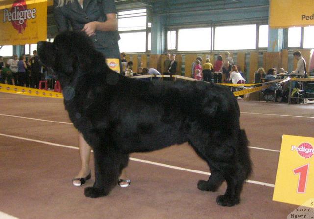 Фотография № 32389