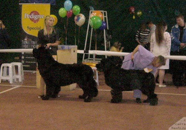 Фотография № 32390