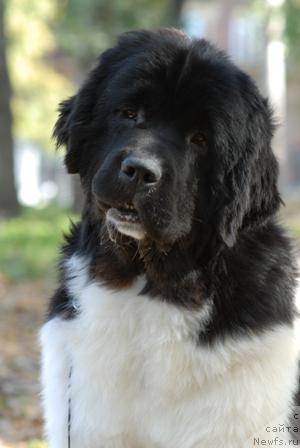 Фотография № 32391