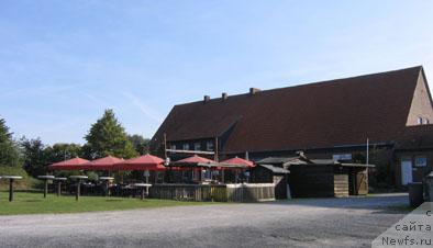 Фотография № 32403