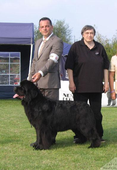 Фотография № 32407