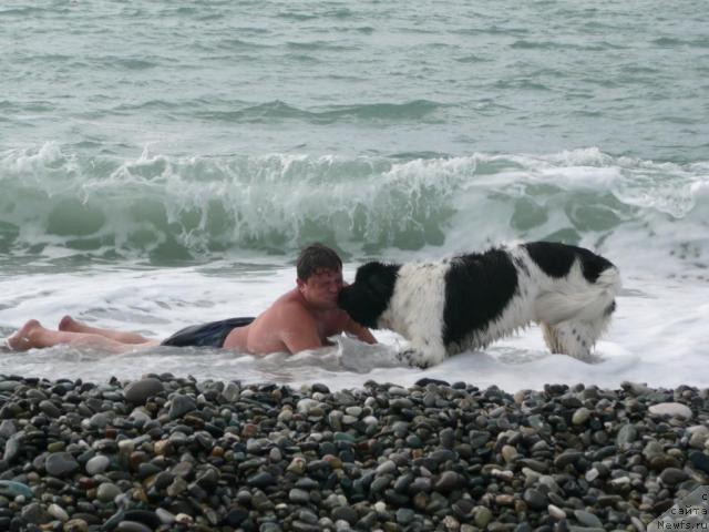 Фотография № 32414