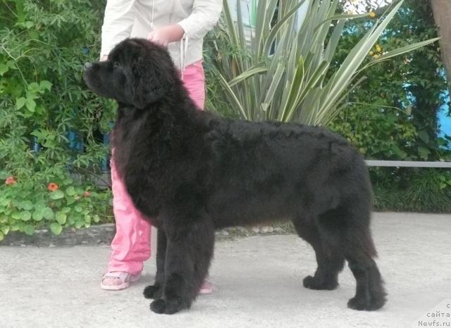 Фотография № 32415