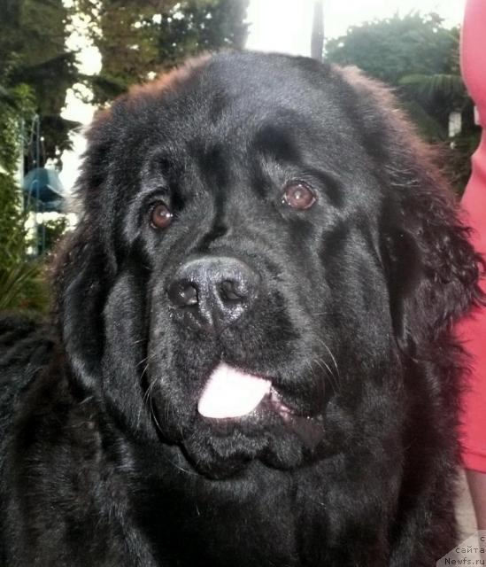 Фотография № 32416