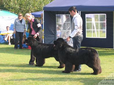 Фотография № 32420