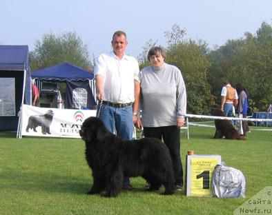 Фото: ньюфаундленд Kind of Magic von Aiching