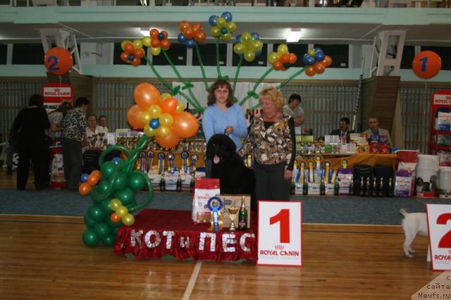 Фотография № 32428