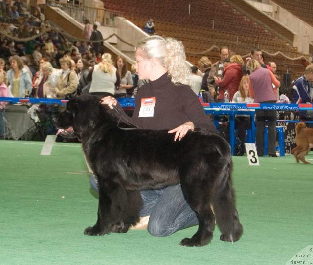 Фотография № 32531