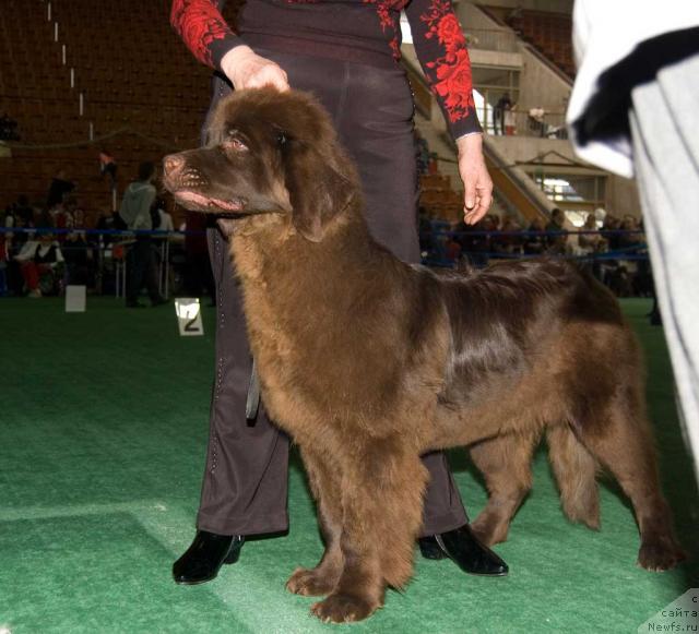 Фотография № 32535